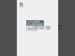 CYW11Y Transmisor de nivel de líquido universal Rango de nivel 0-0,5-50mH2O para la medición del nivel